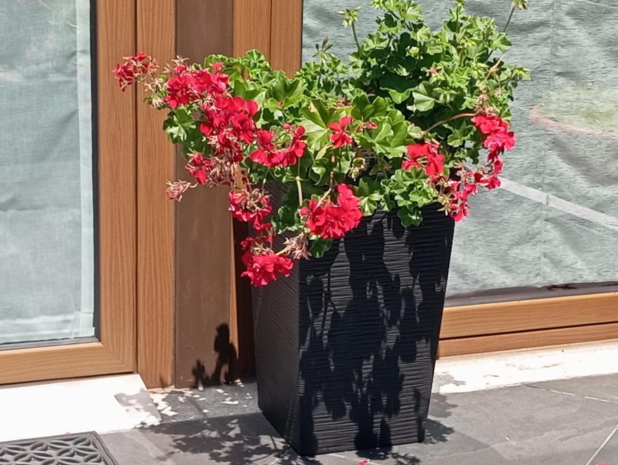 قلعة بايفا Canastro Country House المظهر الخارجي الصورة
